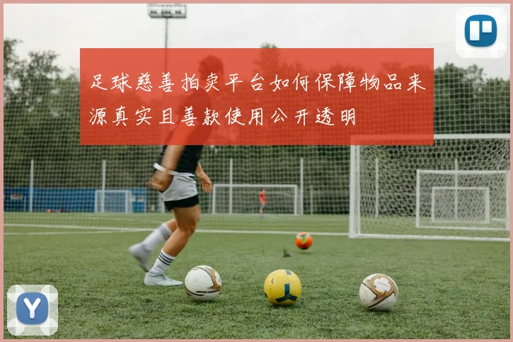 足球慈善拍卖平台如何保障物品来源真实且善款使用公开透明