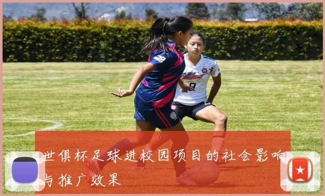世俱杯足球进校园项目的社会影响与推广效果