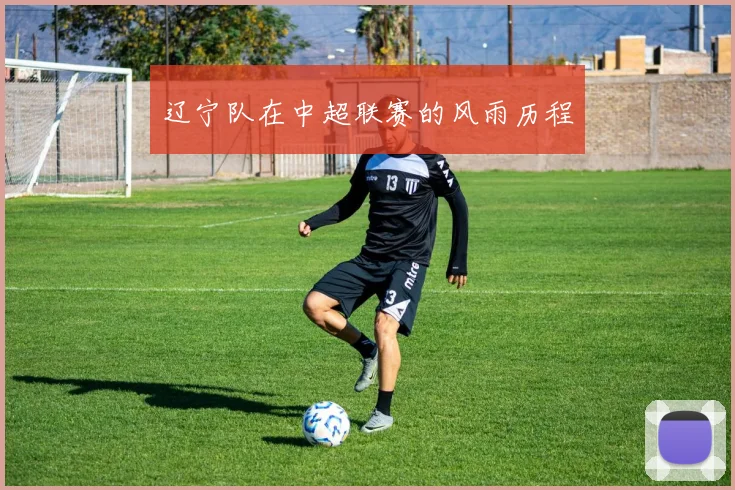 辽宁队在中超联赛的风雨历程