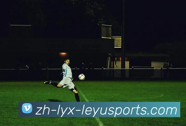 乐鱼体育发展历程